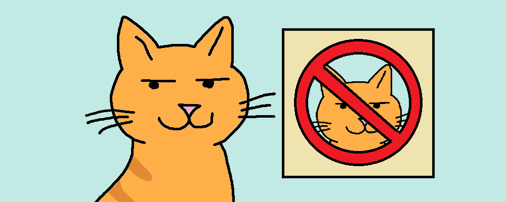 A cat smugly stands next to a sign showing theyre banned