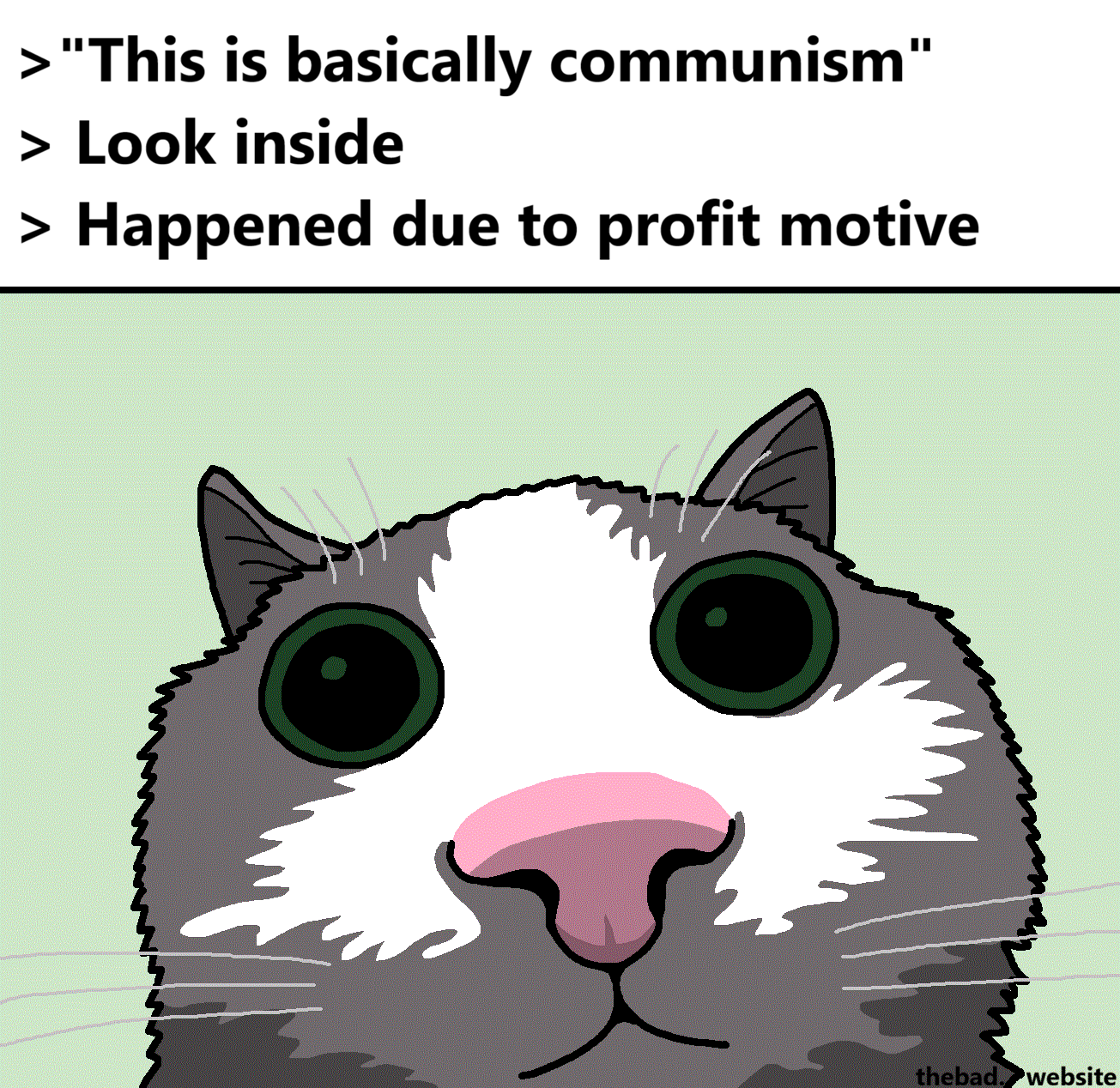 > "This is basically communism"
> Look inside
> Happened due to profit motive

[a lens distorted cat stares at us naively]