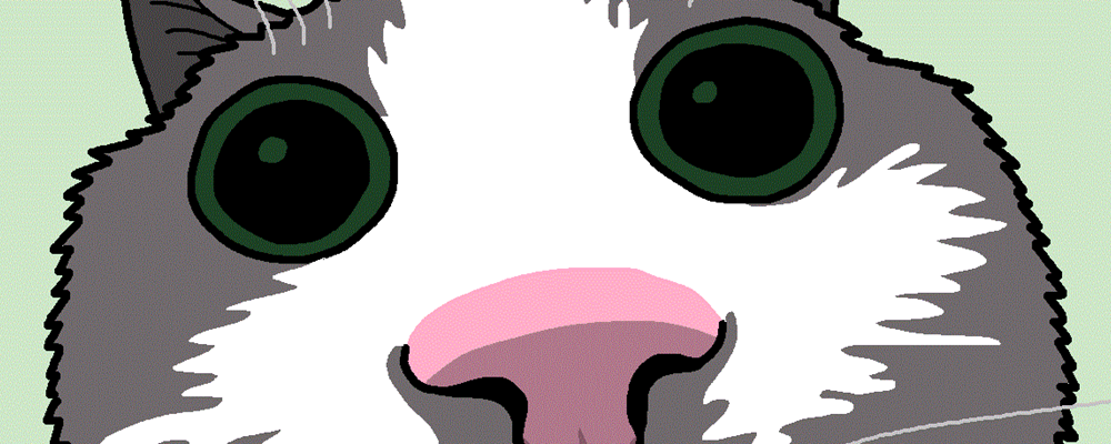 Lens distorted cat face