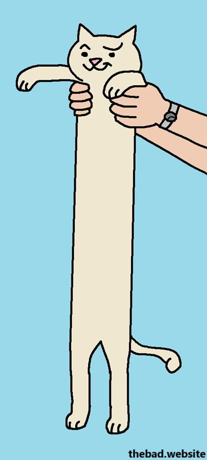 A very long white cat smirks while two human hands carry it by the shoulders