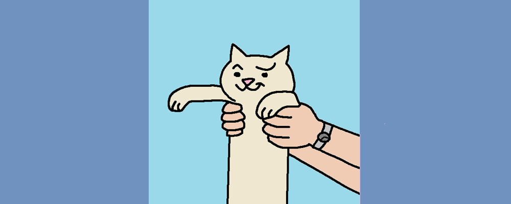 A cat smirks while being held