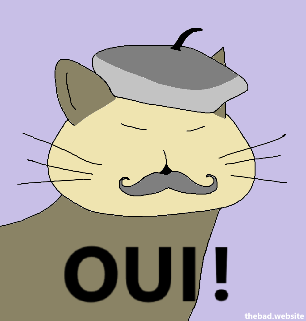 A cat wearing a beret and a moustache, above the text "OUI !"
