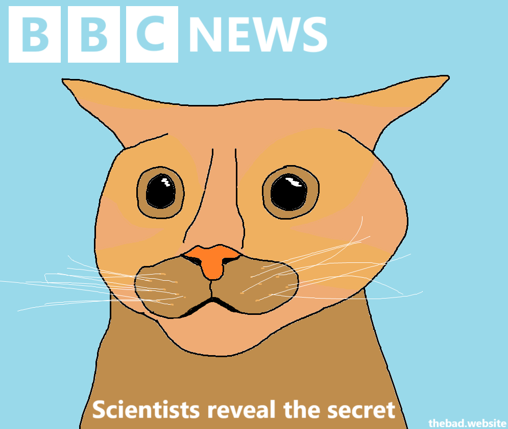 A cat looks scared and/or fascinated, surrounded by the "BBC News" logo and the phrase "Scientists reveal the secret"
