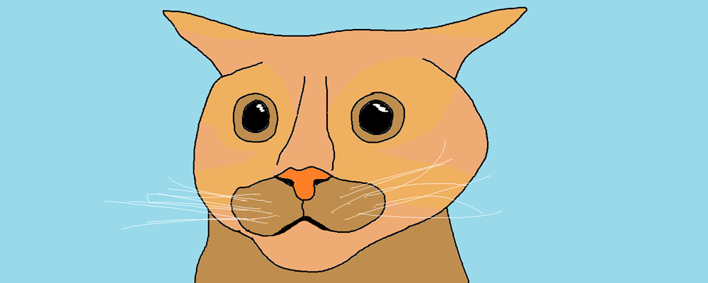 A cat looks scared and/or fascinated