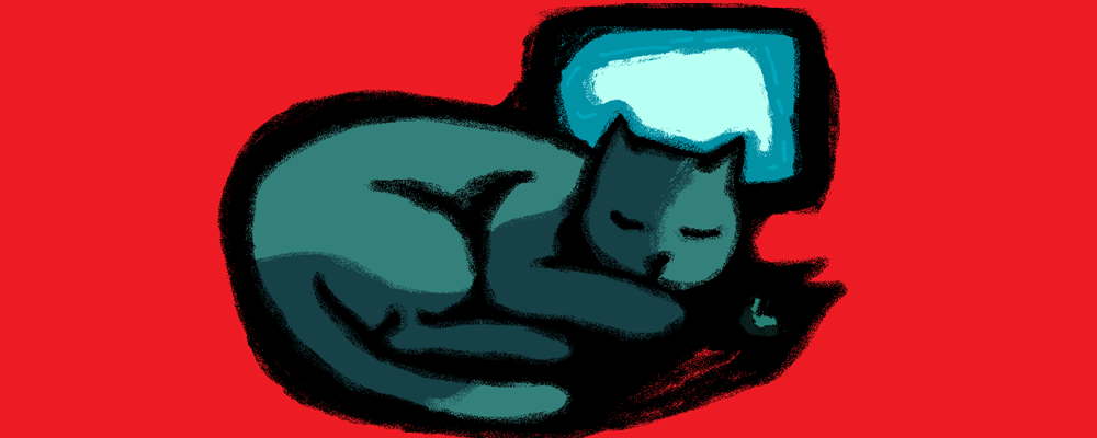 Artsy cat sleeping in front of screen