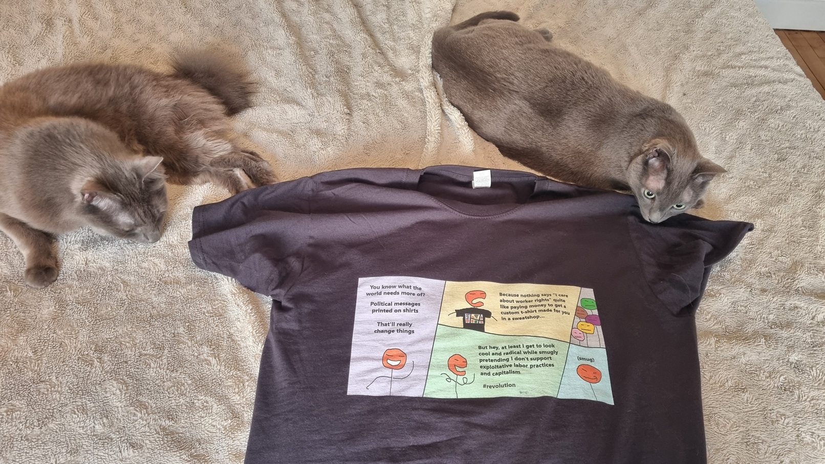 Le comic, imprimé sur un t-shirt, posé sur un lit, entouré de deux chats adorables