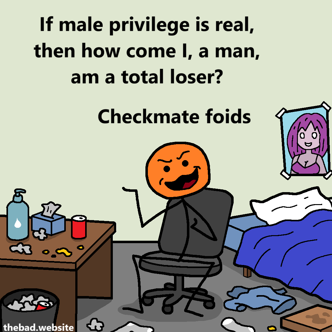 [sitting in the middle of a dirty bedroom, a character speaks smugly]
If male privilege is real, then how come I, am man, am a total loser?
Checkmate foids
