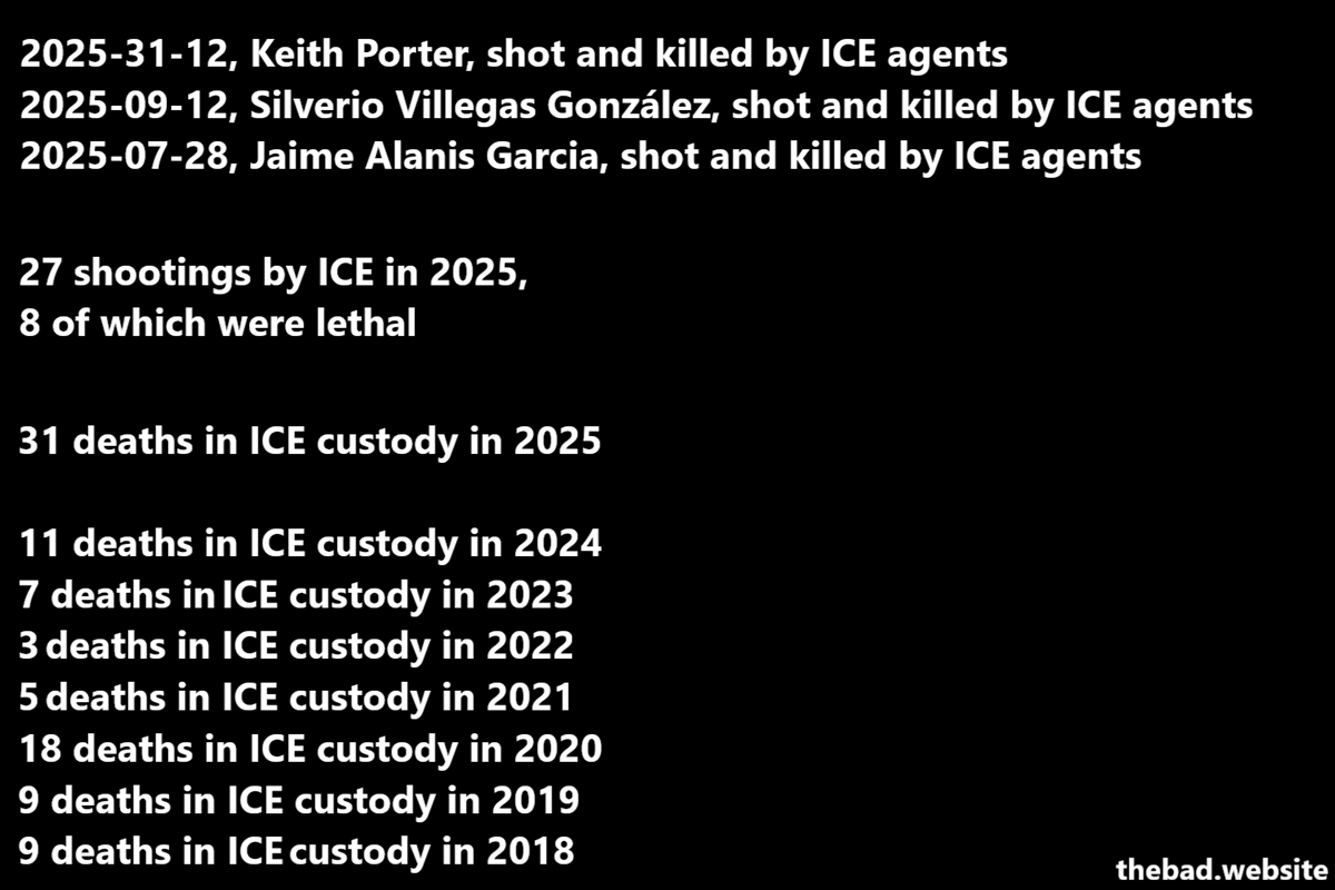 2025-31-12, Keith Porter, shot and killed by ICE agents
2025-09-12, Silverio Villegas Gonz&aacute;lez, shot and killed by ICE agents
2025-07-28, Jaime Alanis Garcia, shot and killed by ICE agents

27 shootings by ICE in 2025,
8 of which were lethal

31 deaths in ICE custody in 2025

11 deaths in ICE custody in 2024
7 deaths in ICE custody in 2023
3 deaths in ICE custody in 2022
5 deaths in ICE custody in 2021
18 deaths in ICE custody in 2020
9 deaths in ICE custody in 2019
9 deaths in ICE custody in 2028
