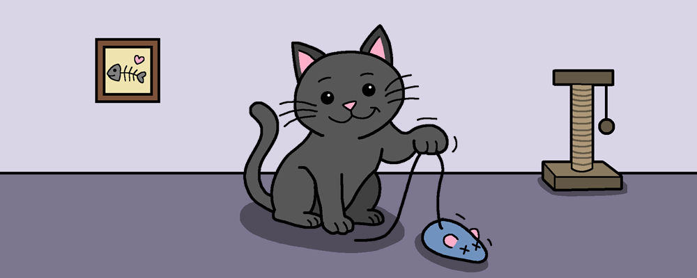 A cute cat is playing